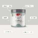 2_Features_of_Paint__40987.png.webp