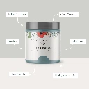 Features_of_Paint__97229.png.webp