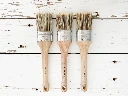OvalBrushes_Group_A2__18077.jpg.webp