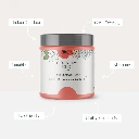 2_Features_of_Paint__53325.png.webp